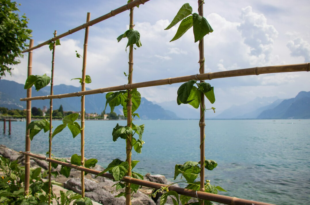 Villa élégante au bord du lac Léman avec grande terrasse et jardin paysager